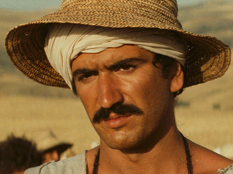 Chronicle Of The Years Of Fire thumbnail