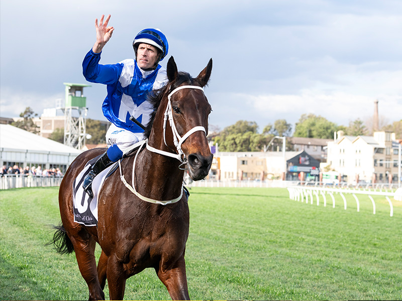 A Horse Named Winx thumbnail