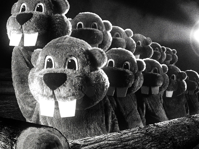 Hundreds of Beavers thumbnail